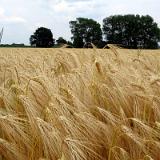 2306G 030 Minden-Bremerhaven